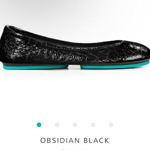 Tieks Obsidian Black Women's Flats